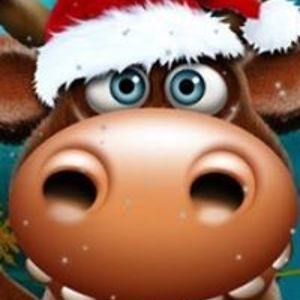 parsons_fiona45 avatar