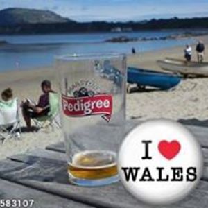 merylturnpenney avatar