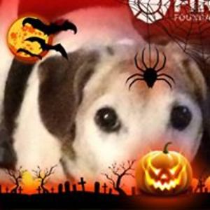 linda_costa_chattin avatar