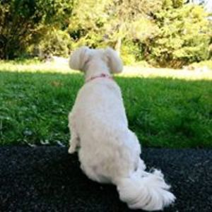 anthony121407 avatar