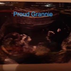 sharon_terrill avatar