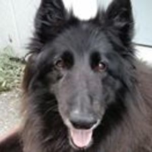 katherine_crosby avatar