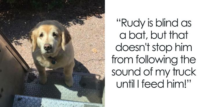 Turns Out, UPS Drivers Have A Facebook Group About Dogs They Meet On Their Routes, And It Will Make Your Day