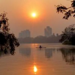 cheekyprophet avatar