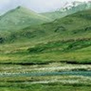 samreenmukhtar avatar