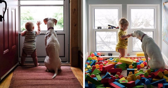 Abused Dog Is Terrified Of Everyone Except This Baby, And Their Pics Are The Sweetest Thing Ever