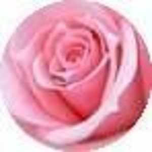 jasminecamelia avatar