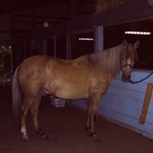 marilynn_carlson2 avatar