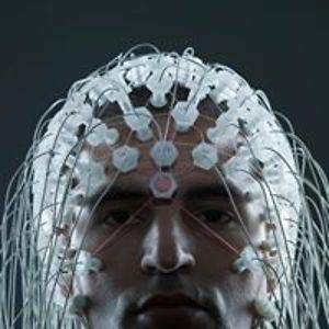 silverhead2005 avatar