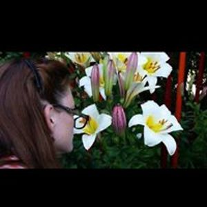 smadaeinafets avatar