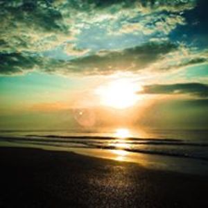 twotulippetals avatar