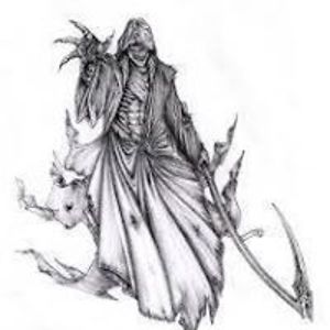 daniel_manherz avatar