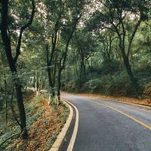 soonyatologan avatar