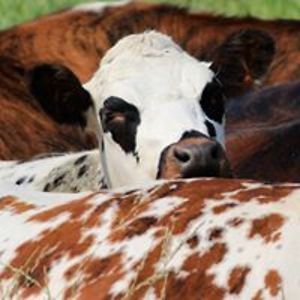 maroberts1126 avatar