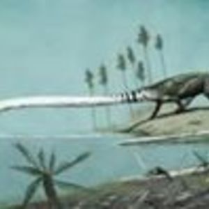 tanystropheus6 avatar