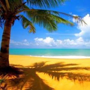 sherry_soobotin avatar