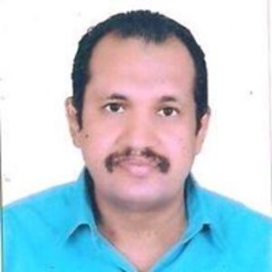 shaltoot_hatem avatar