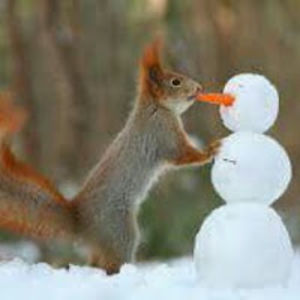 sherrigangitano avatar