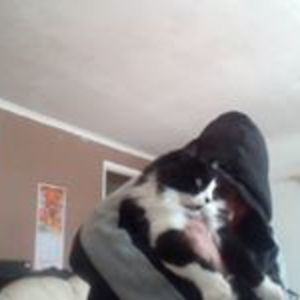 daniel_keating avatar