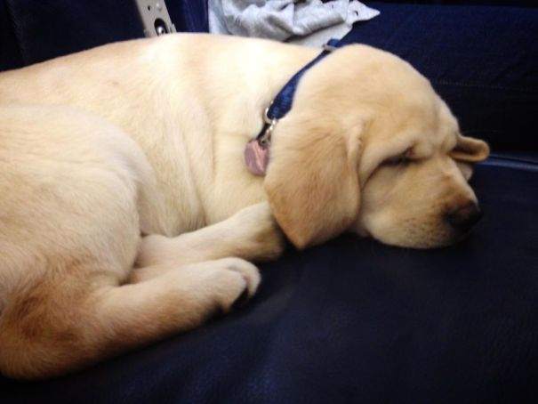 Had To Put Up With This Obnoxiousness In The Seat Next To Me On A Connecting Flight. Ruined My Day