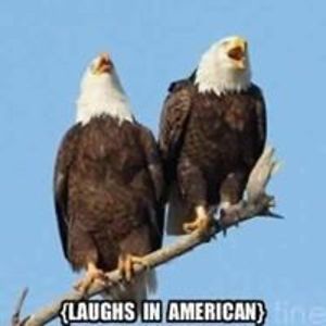 michael_kusjanovic avatar