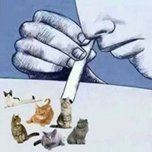 ziad_elgedawy avatar