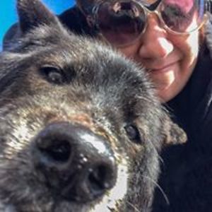 christineferrelli avatar