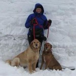 suesanimalfarm avatar