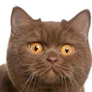 jaroslawkuczko avatar