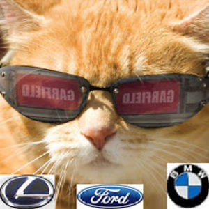 80scatbmwgunaddict101 avatar