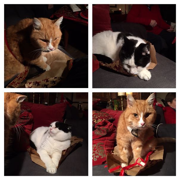 It Was Definitely My Present, Not Hers!