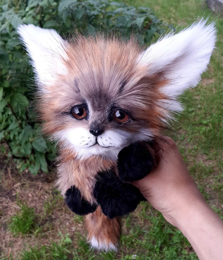 Amazing Warming Tenderness: 20 Furry Puppies, Kittens And Foxcubs Straight From Siberia