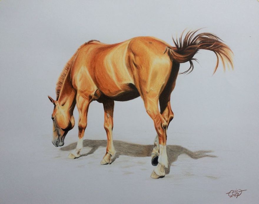 Estonian Artist Captures Personalities Of Horses With Her Realistic Hand-Drawn Art Estonian Artist Captures Personalities Of Horses With Her Realistic Hand-Drawn Art