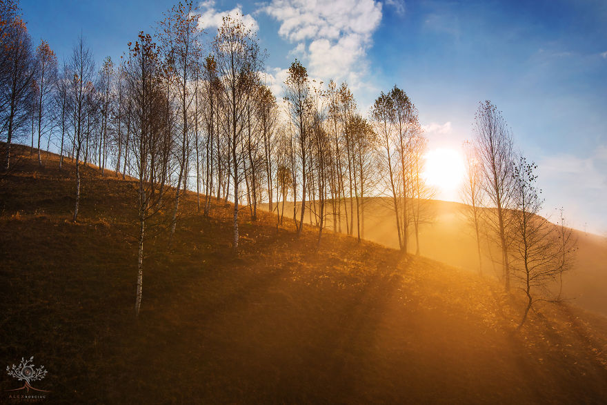I Photographed The Half-Mythical Land Of Transylvania.