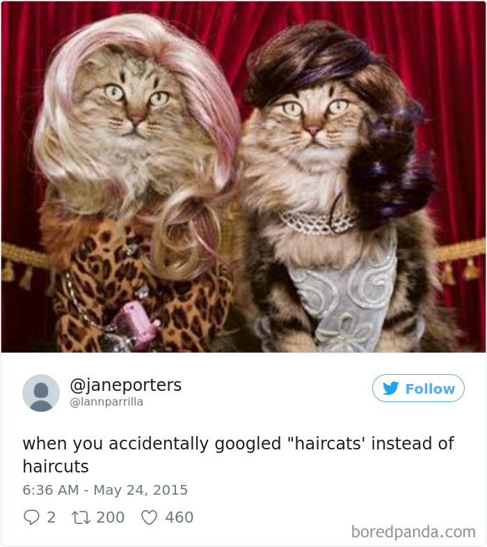 Funny-Accidental-Google-Searches