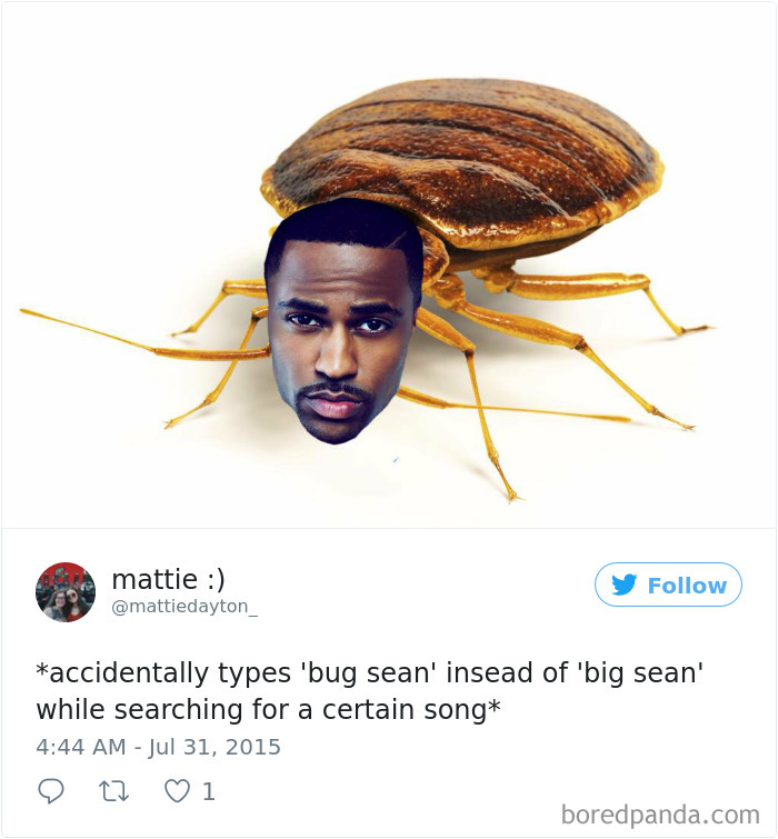 Funny-Accidental-Google-Searches