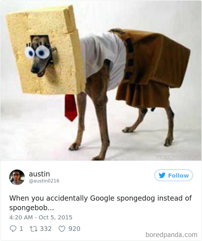 Funny-Accidental-Google-Searches