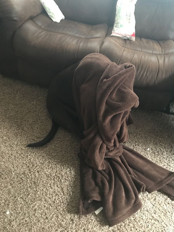 The Guilty You Can’t See Me Act