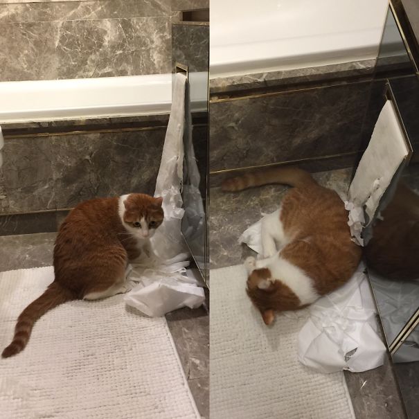 Caught Red Handed...