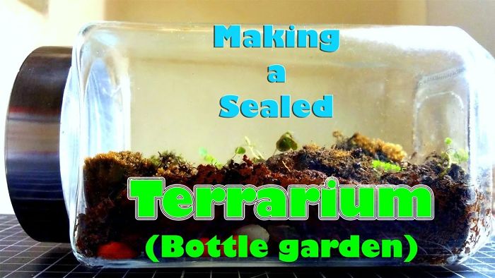 I Made A Bottle Garden (Closed Terrarium) Using A Spice Bottle…