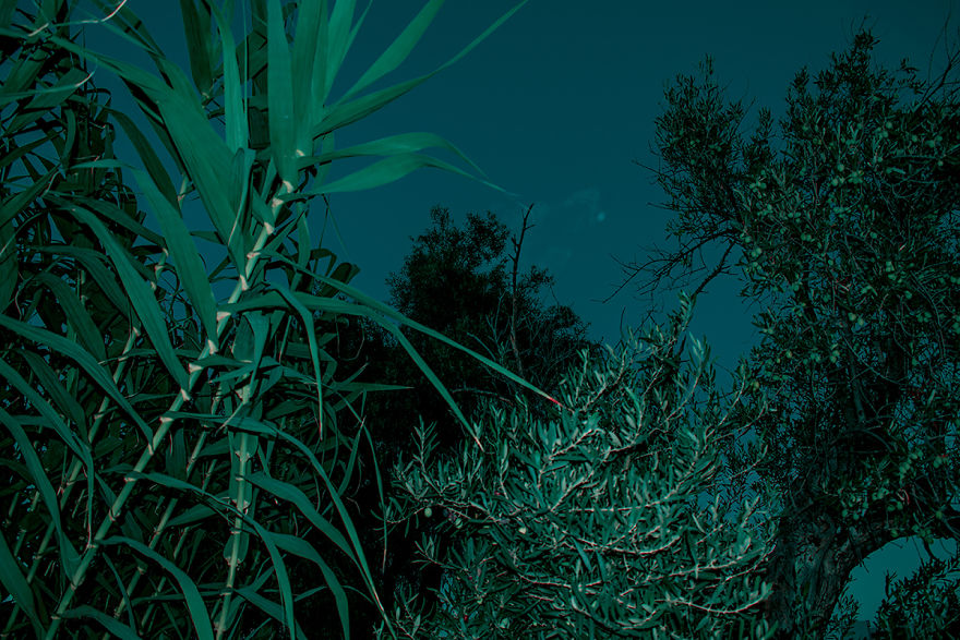 Burn In Blue: My Landscape Photo Series After Late Lab Work Burn In Blue: My Landscape Photo Series After Late Lab Work