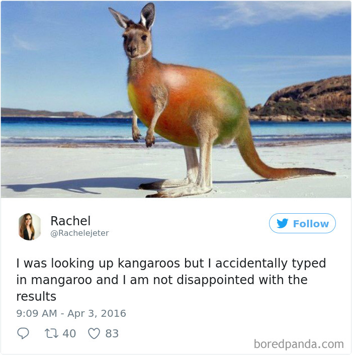 Funny-Accidental-Google-Searches