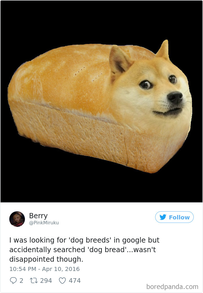 Funny-Accidental-Google-Searches