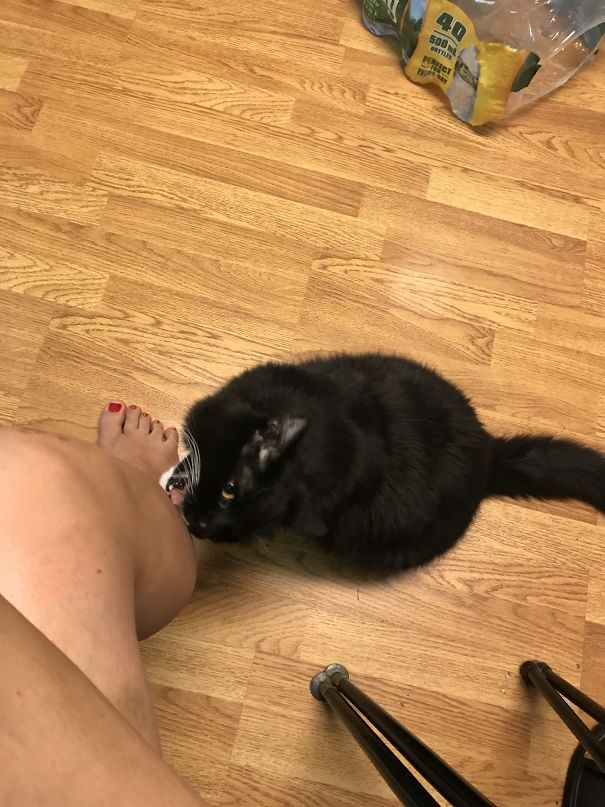 Butters Trying To Bite Off My New Lotion.