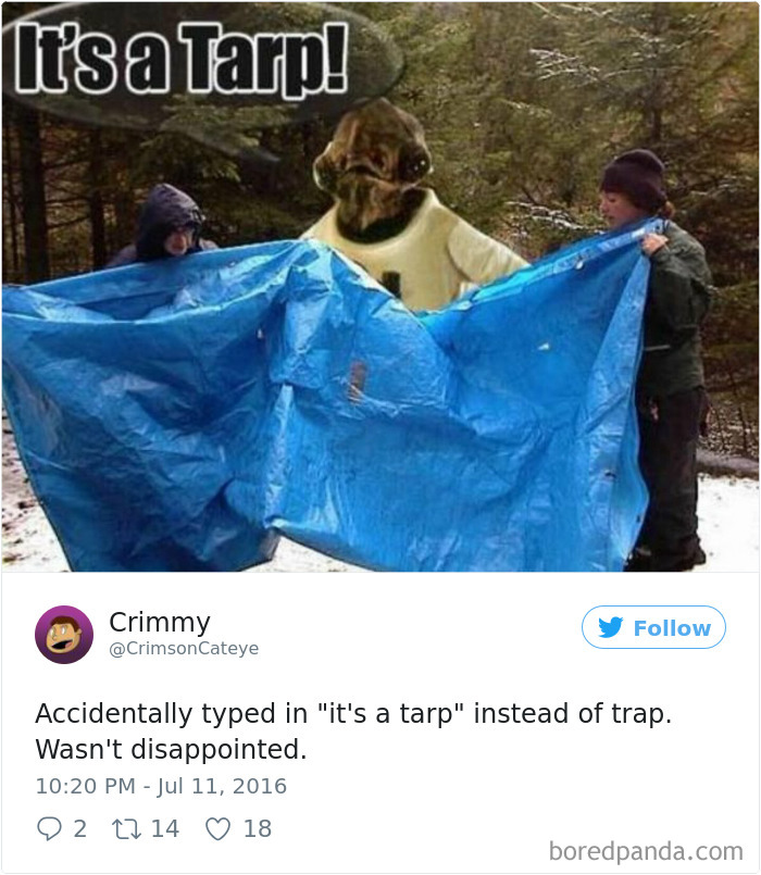 Funny-Accidental-Google-Searches