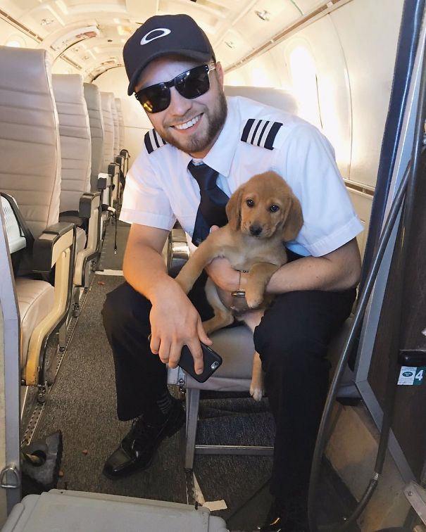 I Had The Cutest Passenger On My Flight Today