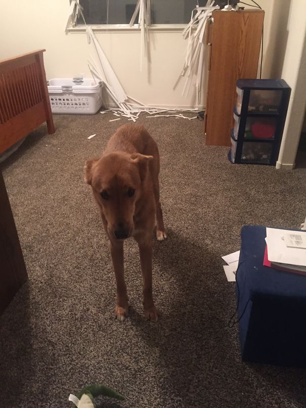 “I Thought I Saw Something”