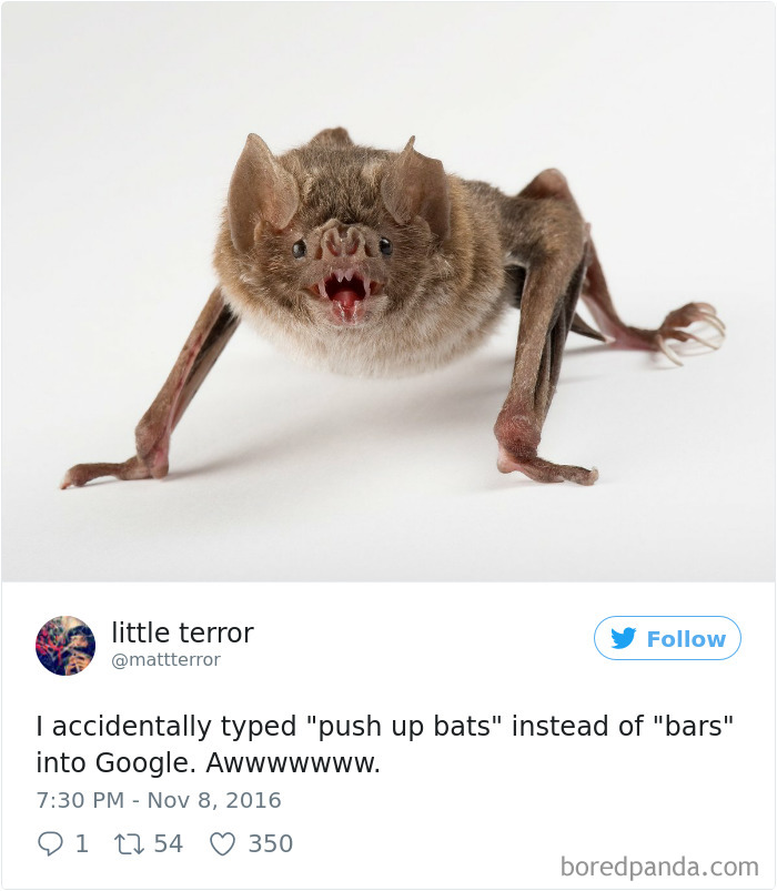 Funny-Accidental-Google-Searches