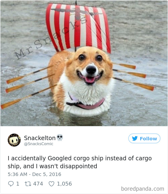 Funny-Accidental-Google-Searches