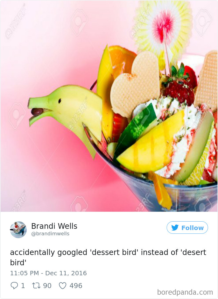 Funny-Accidental-Google-Searches